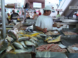 Fish Market